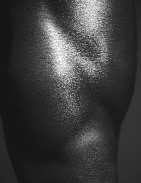 Human Body Leg In Black and White