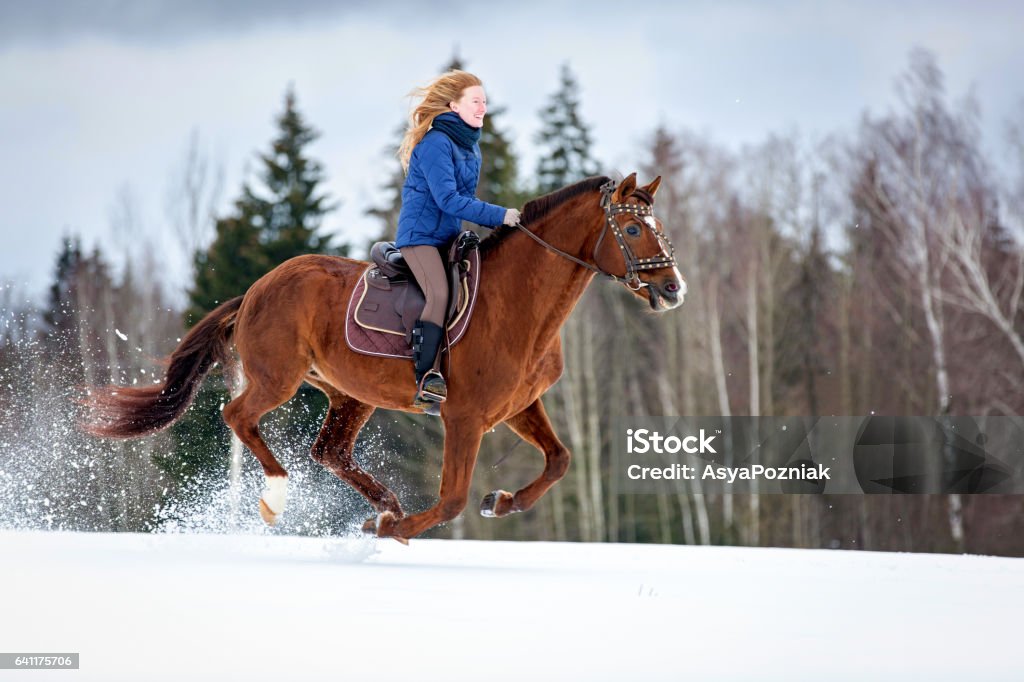 Junge Dame reitet ein rotes Pferd. - Lizenzfrei FEMA Stock-Foto