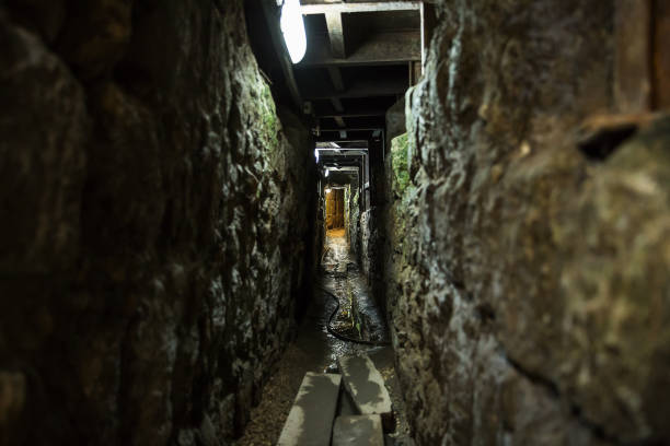 The Herodian road .