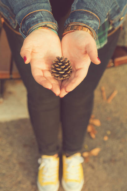 istock Woman holding pine cone. Autumn concept. 641177786