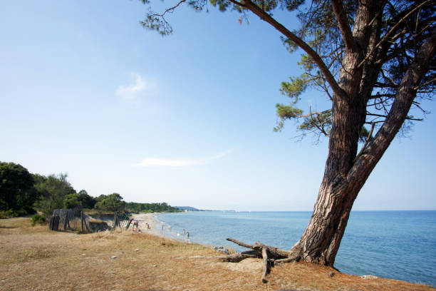 istock beach in Corsica island 641179262