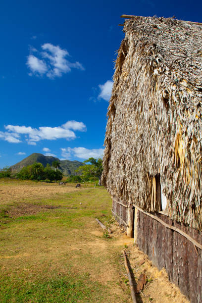 istock Valley de Vinales, Pinar del Rio, Cuba. 641182374