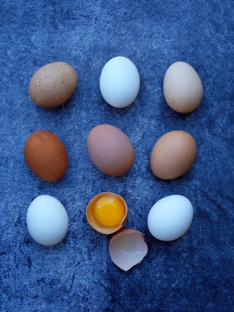 istock composition of fresh farm white and brown eggs on dark background 641182464