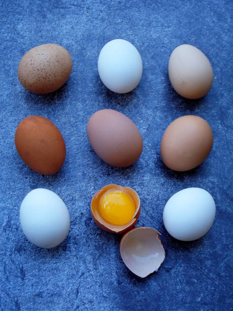 istock composition of fresh farm white and brown eggs on dark background 641182474