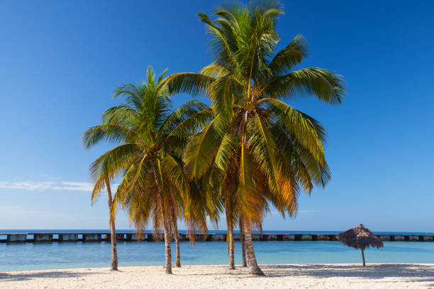 On the beach Playa Giron, Cuba. This beach is famous for its role during the Bay of Pigs invasion.