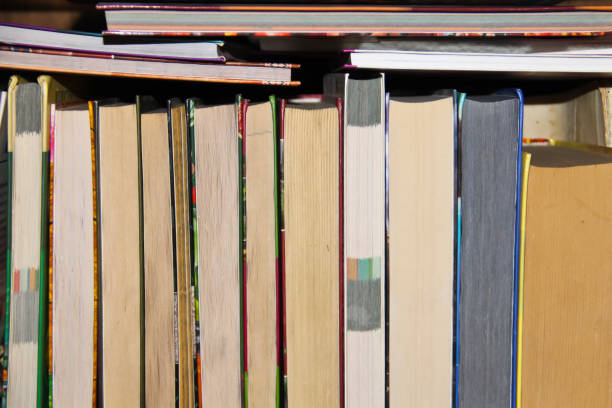 istock Many new books on a shelf. Books background 641183500