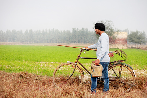 Young farmer of Indian ethnicity going to the green wheat field.