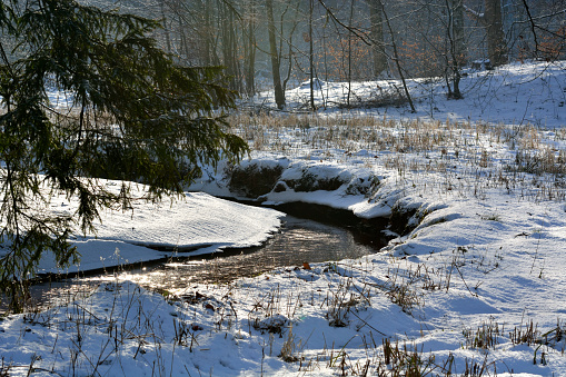 narrow stream flows through the forest in winter