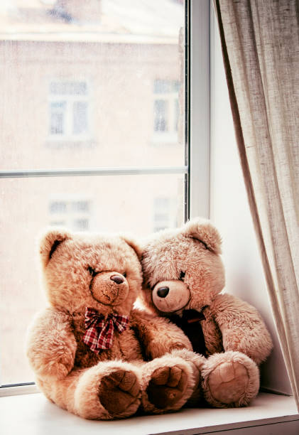 istock Brown teddy bears on the window on a rainy day 641185646