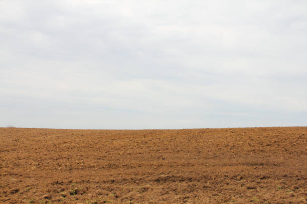istock Dry plowed earth agricultural land 641187582
