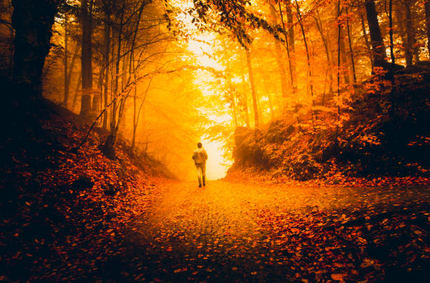 Autumn landscape image