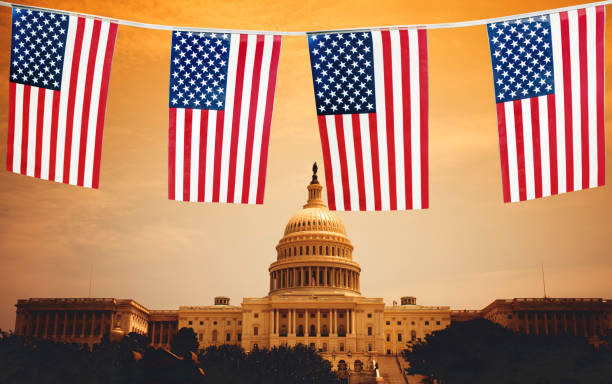 istock capitol building in washington dc with us flag 641188608