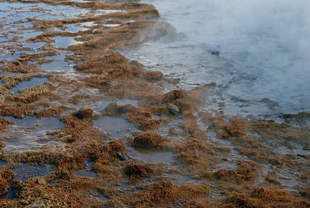 A misty geothermal landscape at Geysir, Iceland. Steam rises from numerous hot springs, creating a surreal and ethereal atmosphere. The volcanic activity is evident in the bubbling mud pools.