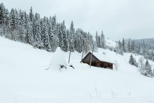 istock Winter Ukrainian Carpathian Mountains landscape. 641190876
