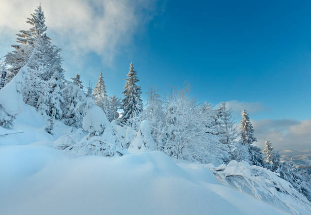istock Winter Ukrainian Carpathian Mountains landscape. 641192920