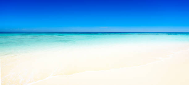 istock Panoramic view of a tropical beach with white sand 641194332