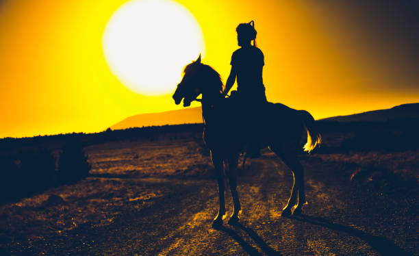 istock A turkish horse 641195360