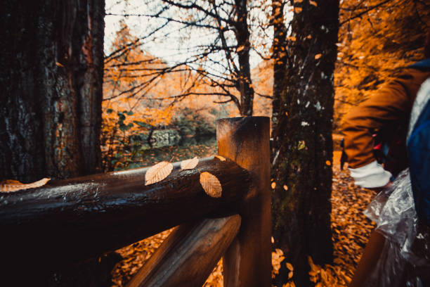 istock Autumn landscape image, Bolu, Turkey. 641195748