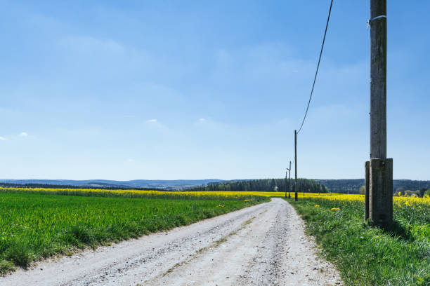 istock country road in summer 641195774