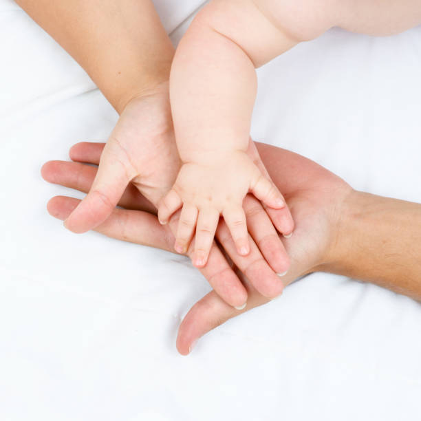 istock hands family on white 641199424