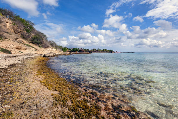 Clear ocean water of the Jan Thiel bay on Curacao