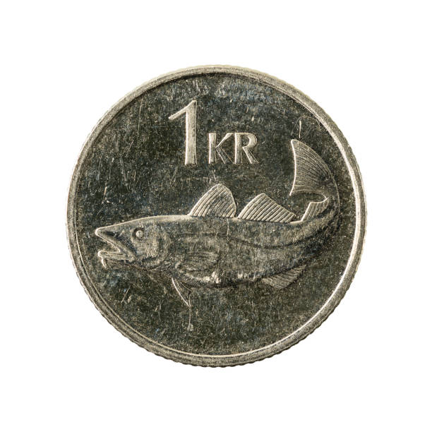 istock 1 icelandic krona coin (2007) obverse isolated on white background 641200432
