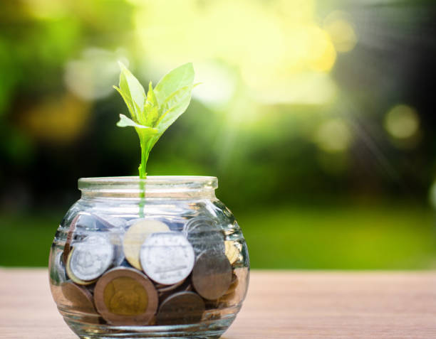istock Sprout growing on glass piggy bank 641202494