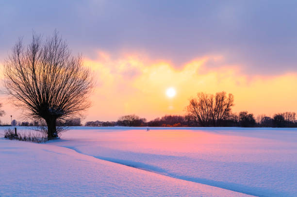 istock Willow trees in a snow covered winter landscape 641203464