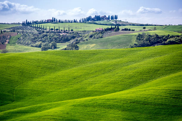 istock Tuscany, Italy. Green Landscape 641205058