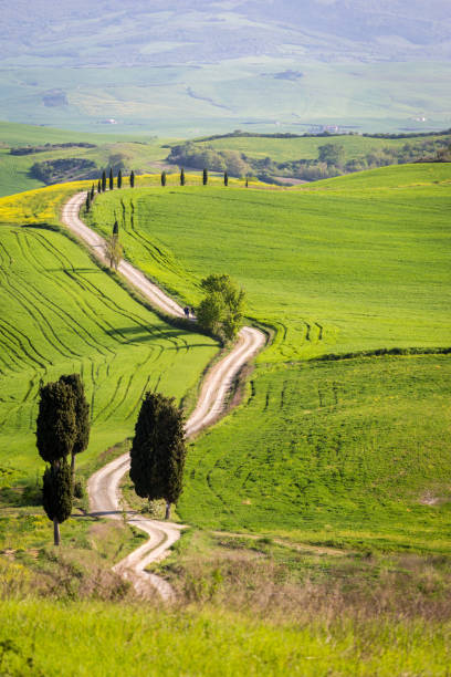 istock Tuscany, Italy. Green Landscape 641205074
