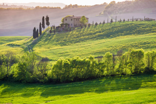 istock Tuscany, Italy. Green Landscape 641205180