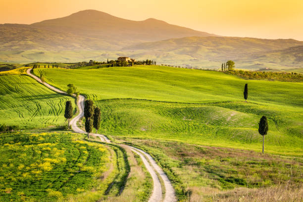 istock Tuscany, Italy. Green Landscape 641205184