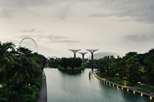 Scenic view of Gardens by the Bay in Singapore