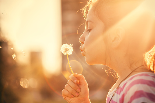 Photo of beautiful little girl blowing a dandelion at sunset