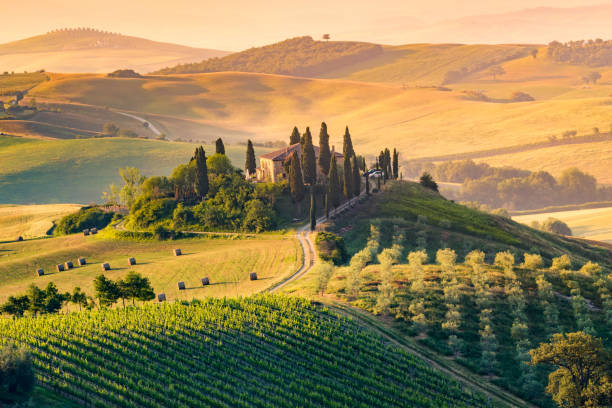 ヴァルドルチャ、トスカーナ、イタリア - val tuscany cypress tree italy ストックフォトと画像