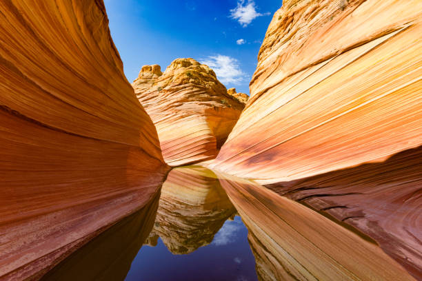 The Wave, Coyote Buttes, Vermillion Cliffs, Paria Canyon State Park The Wave, Coyote Buttes, Vermillion Cliffs, Paria Canyon State Park, Arizona. USA coyote buttes stock pictures, royalty-free photos & images