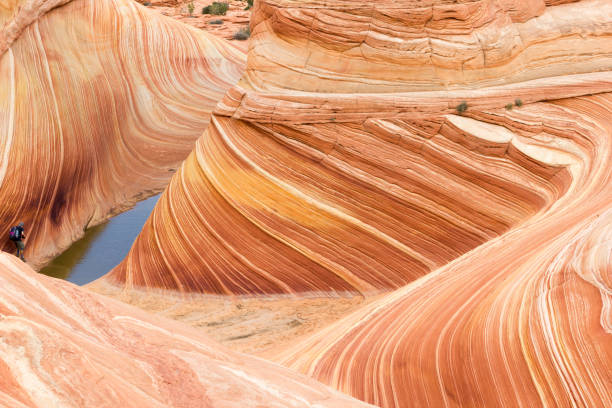 istock Coyote Buttes, Vermillion Cliffs, Paria Canyon State Park 641206196