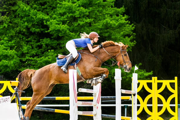 istock Show jumping - horse with rider passing over hurdle 641206656