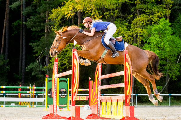 istock Show jumping - horse with rider passing over hurdle 641206666