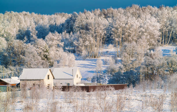 istock Fabulous winter forest covered with snow 641207186