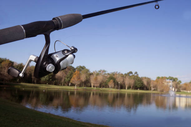 istock Early Morning fishing 641207254