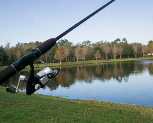 istock Early Morning fishing 641207260
