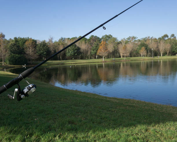 istock Early Morning fishing 641207264
