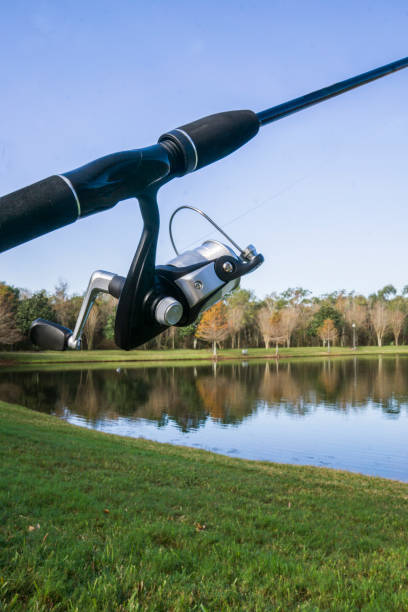 Early Morning fishing