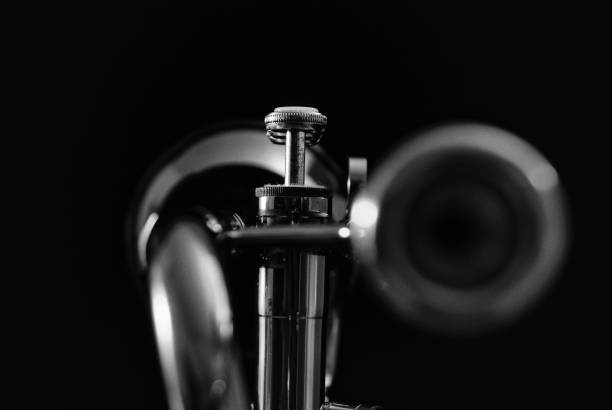 istock Trumpet Valves in Black and White 641212032