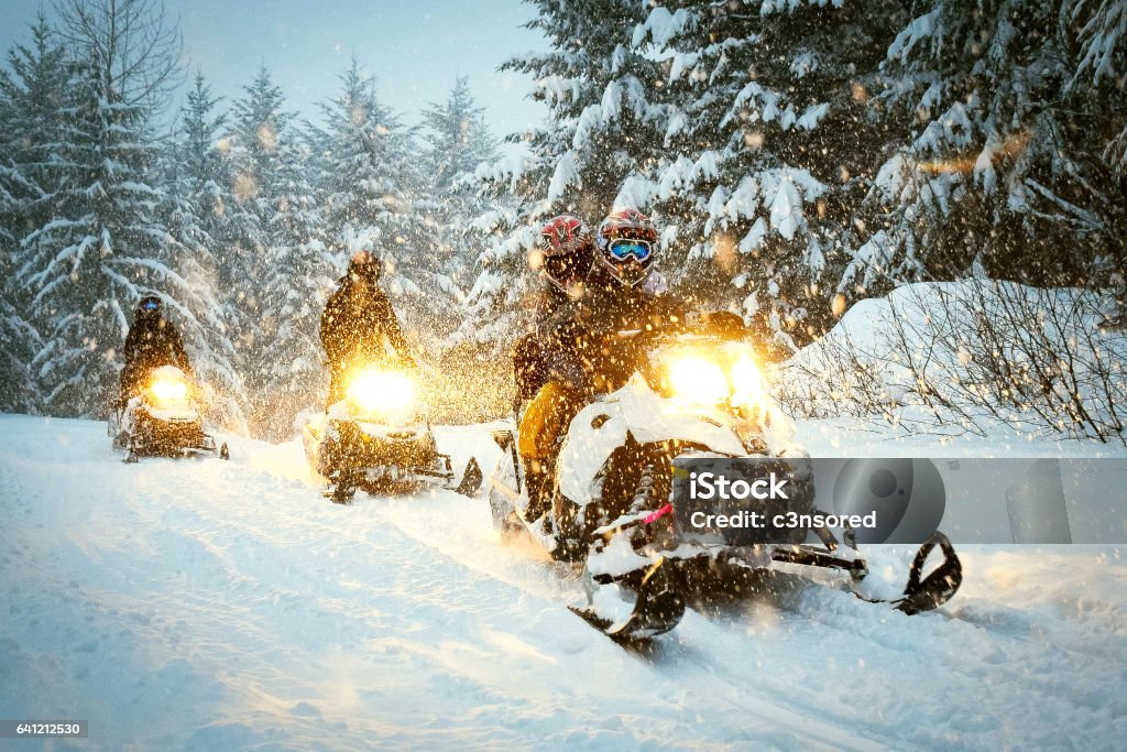 Couple snow mobile in snow storm Snow mobile in blizzard through the woods and forest Snowmobile Stock Photo