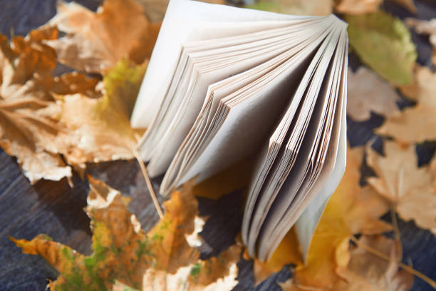 istock book with autumn leaves 641212674