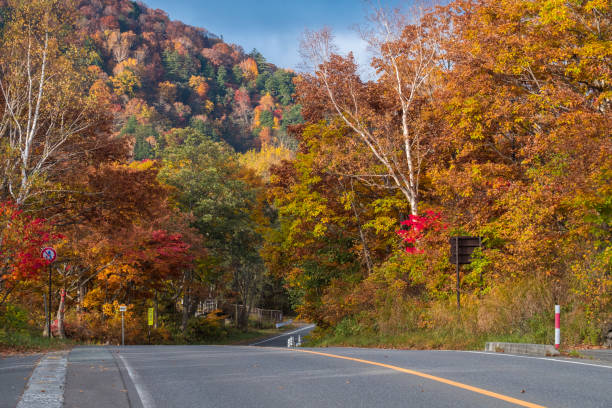istock Road with colorful trees in Autumn 641216844