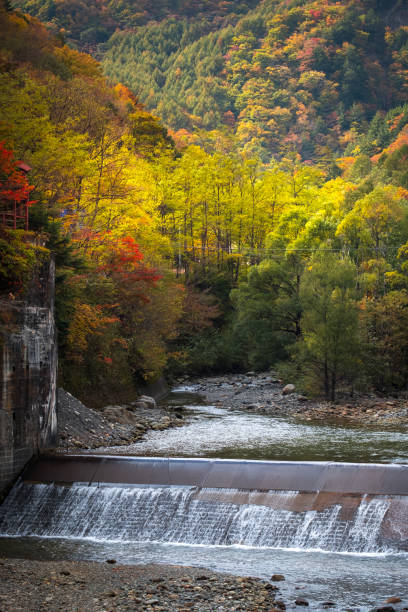 istock Autumn in Japan 641216894