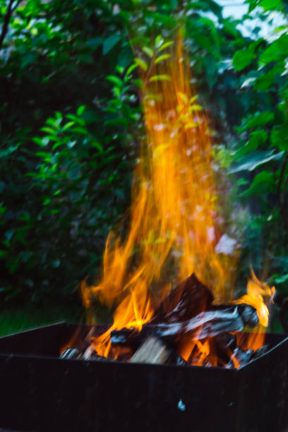 Firewood buring at campfire in the park during holidays